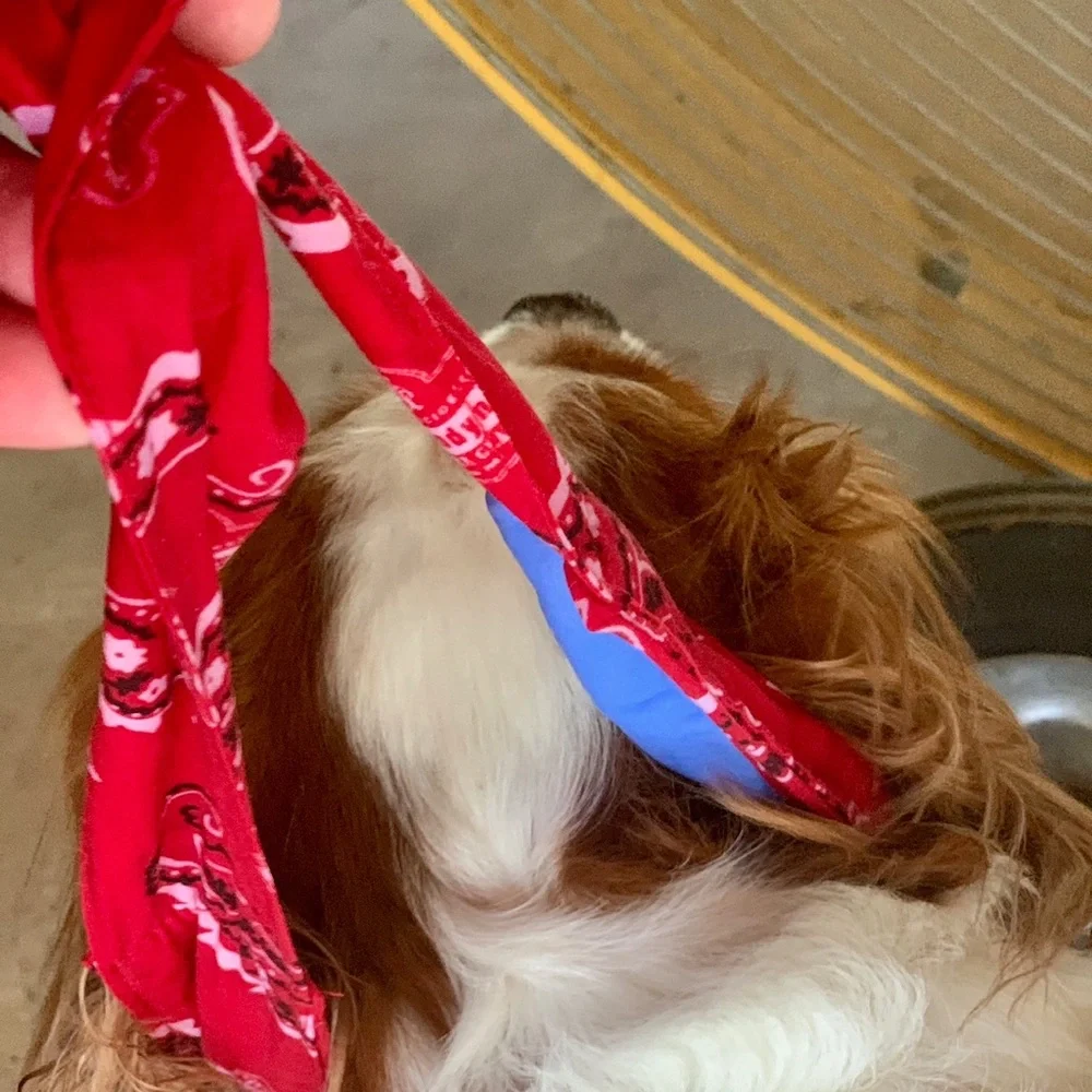 COOLING Red Bandana Dog Collar - Rustic Boho Bow Tie - Unisex Dogs Pet Wrap
